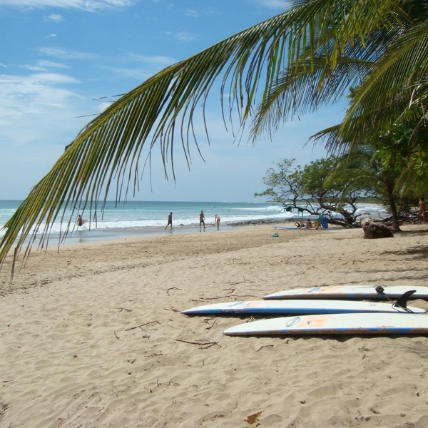 playa tortuga strand