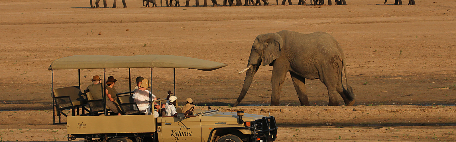 I:\AXUMIMAGES\Afrika\Zambia\Pakker\22619 -South Luangwa & Lower Zambezi, With Baines River Camp\Jeep Safari