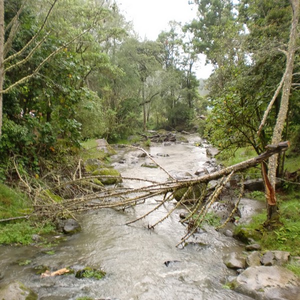 san gerardo de dota flod