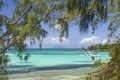Udsigt mellem palmerne, Mauritius