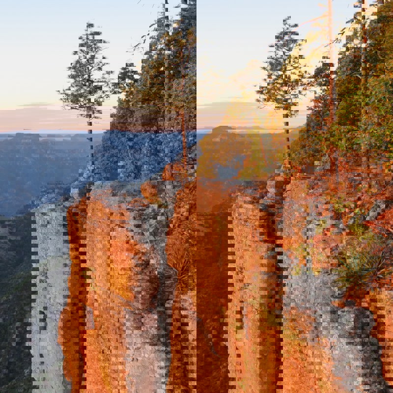 sandra-dempsey-3ozV1RfrPEQ-unsplash