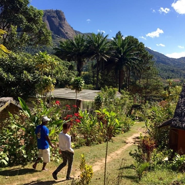 Vandretur i Andasibe, Madagaskar