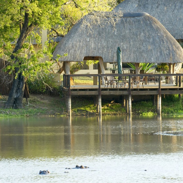 Flodheste i sø ved lodgen