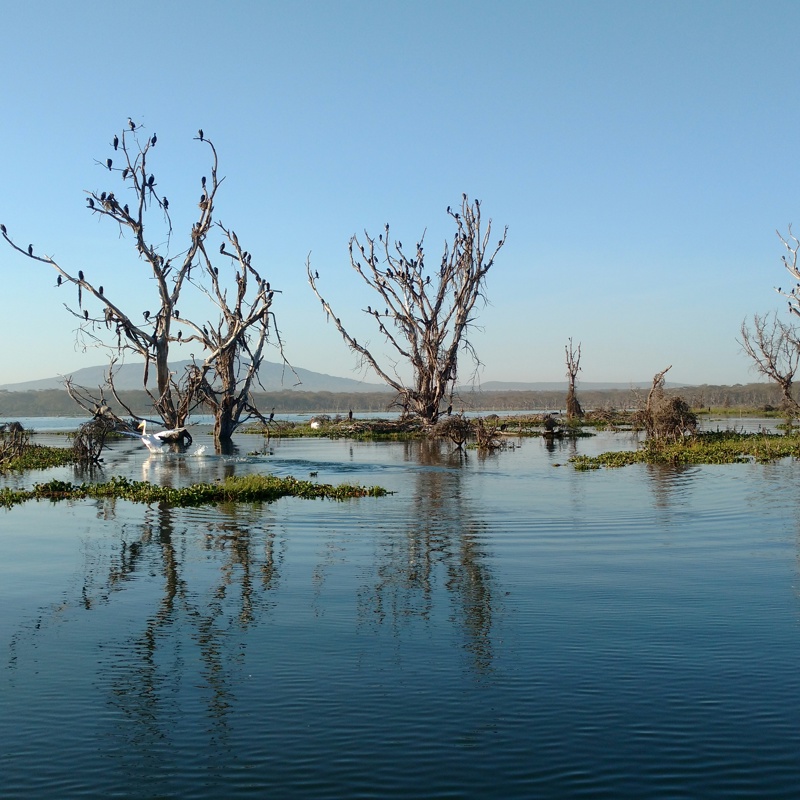 Kenya-Experience_Lake Naivasha_3
