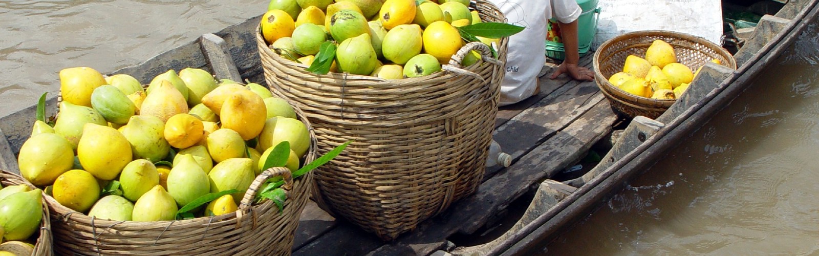 Frugthandler i Mekong deltaet, Vietnam
