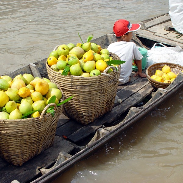 Frugthandler i Mekong deltaet, Vietnam