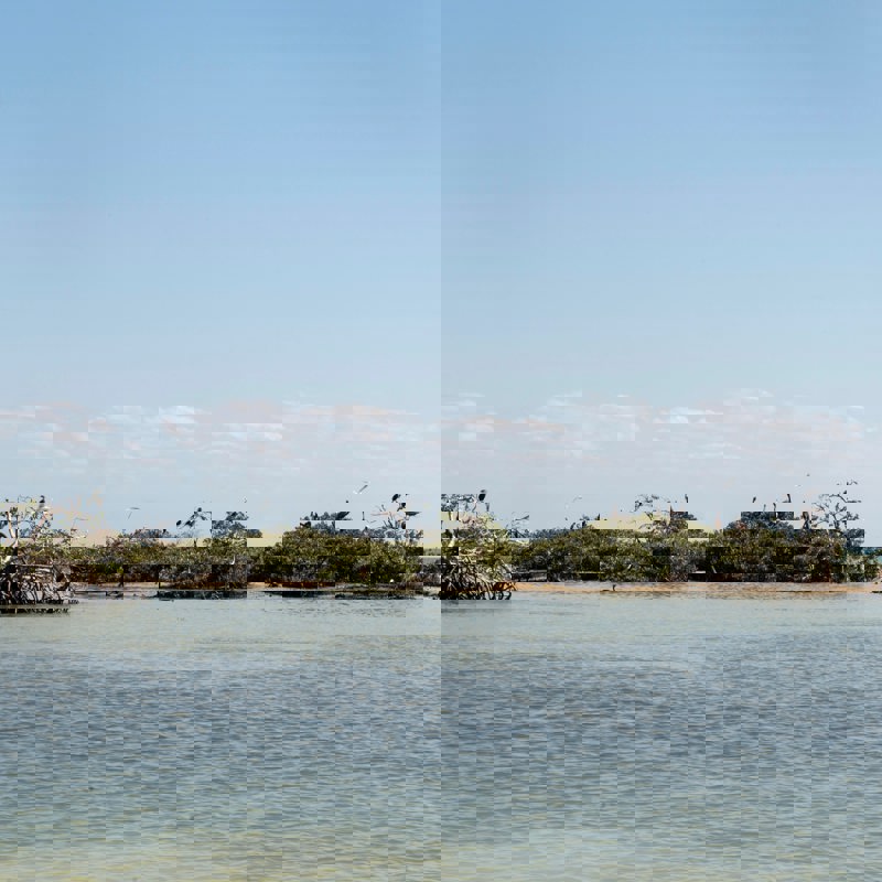 carlos-aranda-A1WiCyObJEI-unsplash