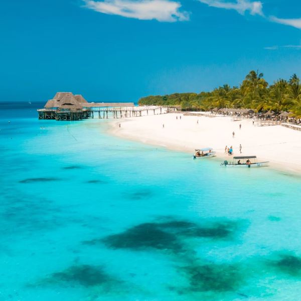 Palmestrand på Zanzibar