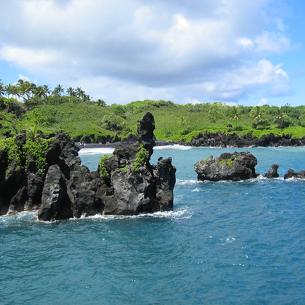 En grønt bugt på Maui