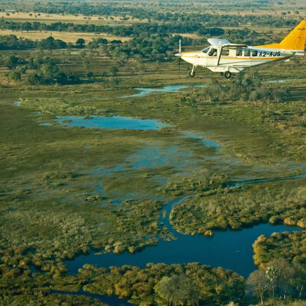 Flyvetur over Okaango deltaet, Botswana