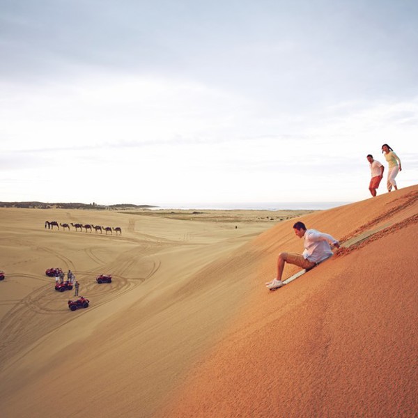 Surfing i sandet, Port Stephens, Australien