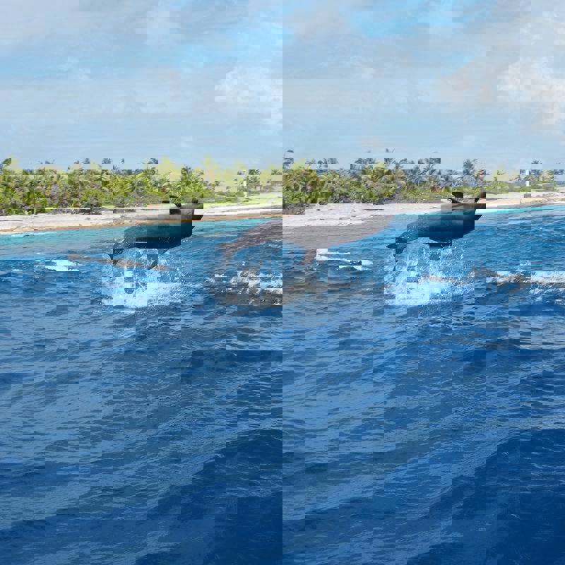 sylvie-charron-sylR9233KmQ-unsplash