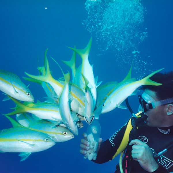 dykning maria la gorda