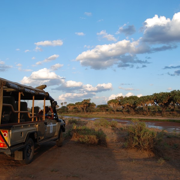 På safari, Elephant Bedroom camp, Kenya