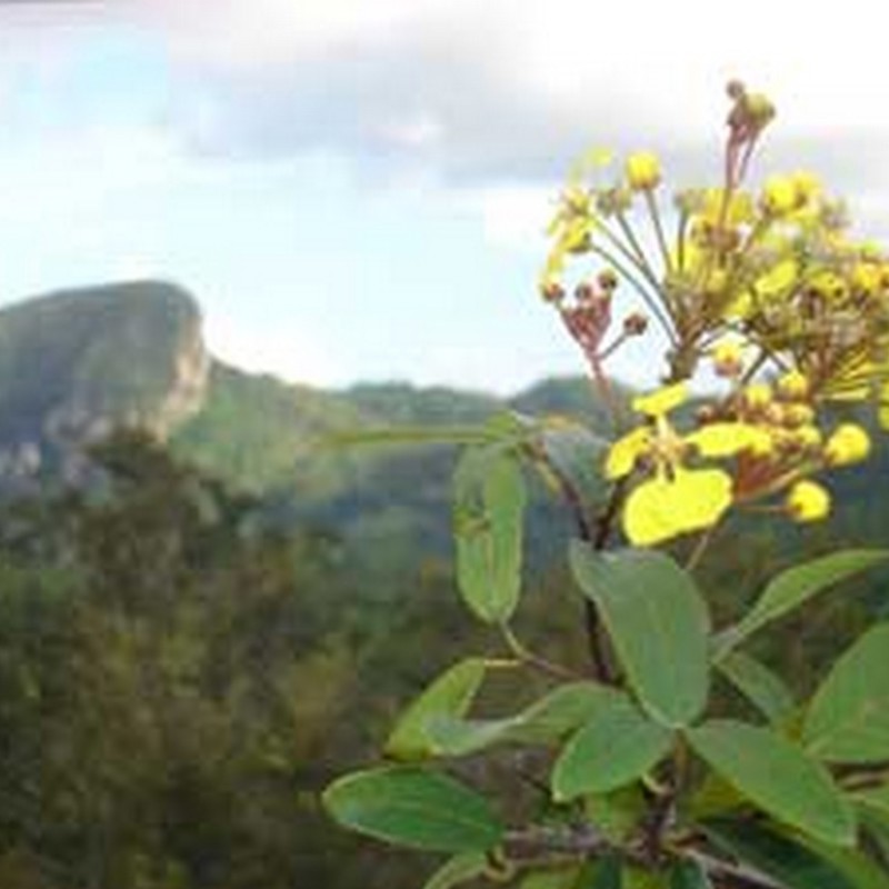 sand iego de los banos