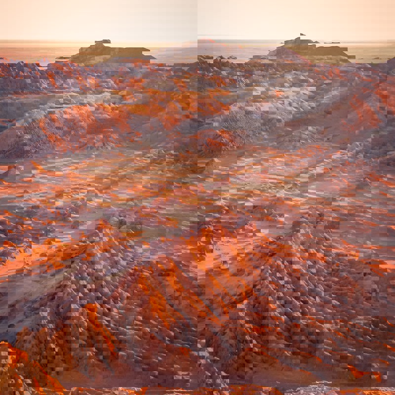 vinicius-henrique-photography-A7GwggrhXm4-unsplash