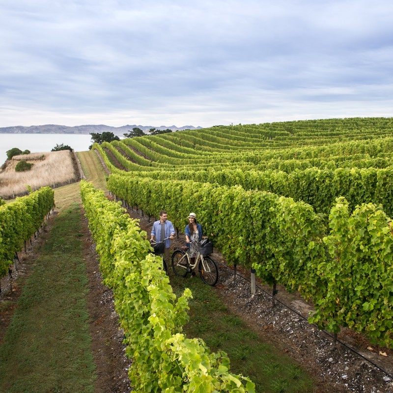 Marlborough, New Zealand