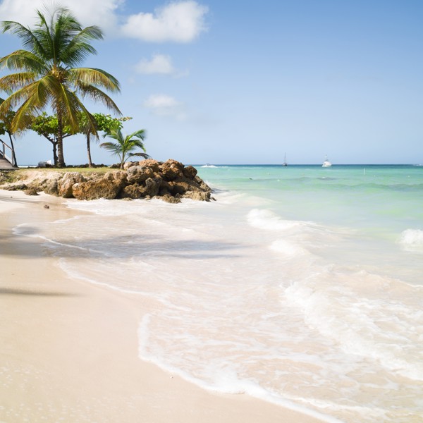 Ved Pigeon Point, Trinidad & Tobago