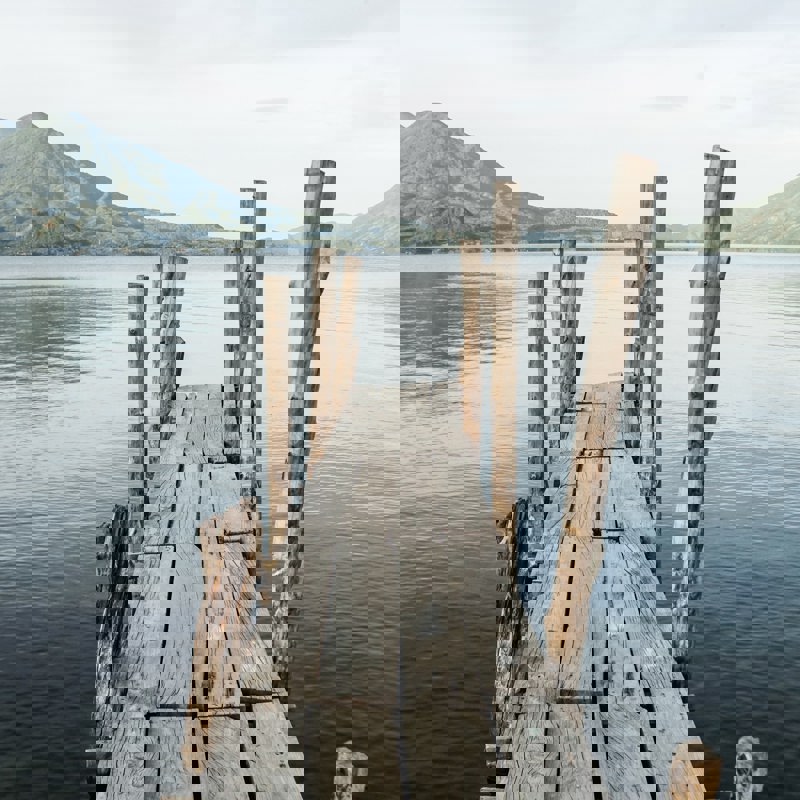 cameron-wilkins-ZofeoSz4F3k-unsplash