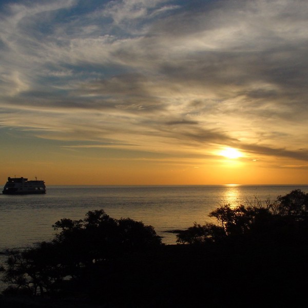 solnedgang colonia over floden