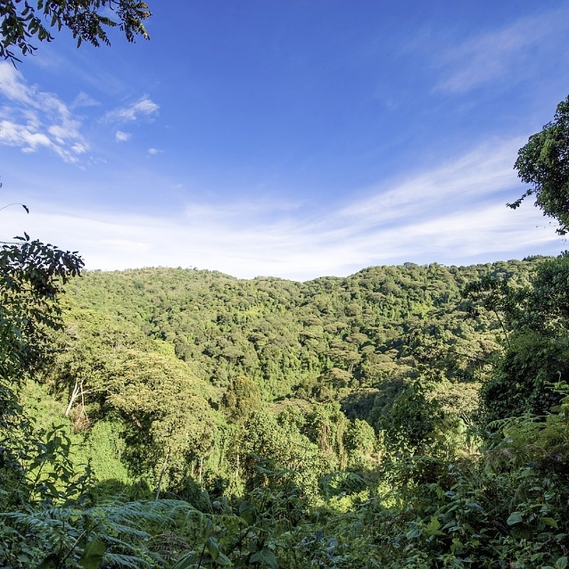 rejser til Uganda - redigeret
