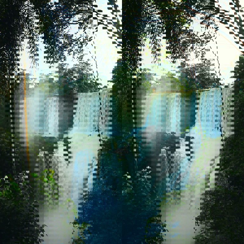 julia-caesar-jeXkw2HR1SU-unsplash