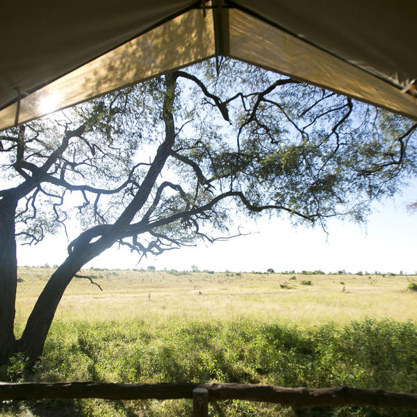 Udsigt fra et telt, Somalisa