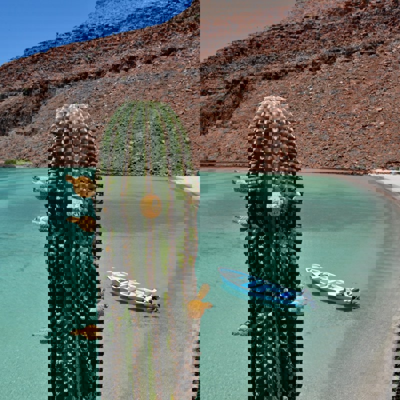 constanza-s-mora-Zmz-rmQql1Y-unsplash