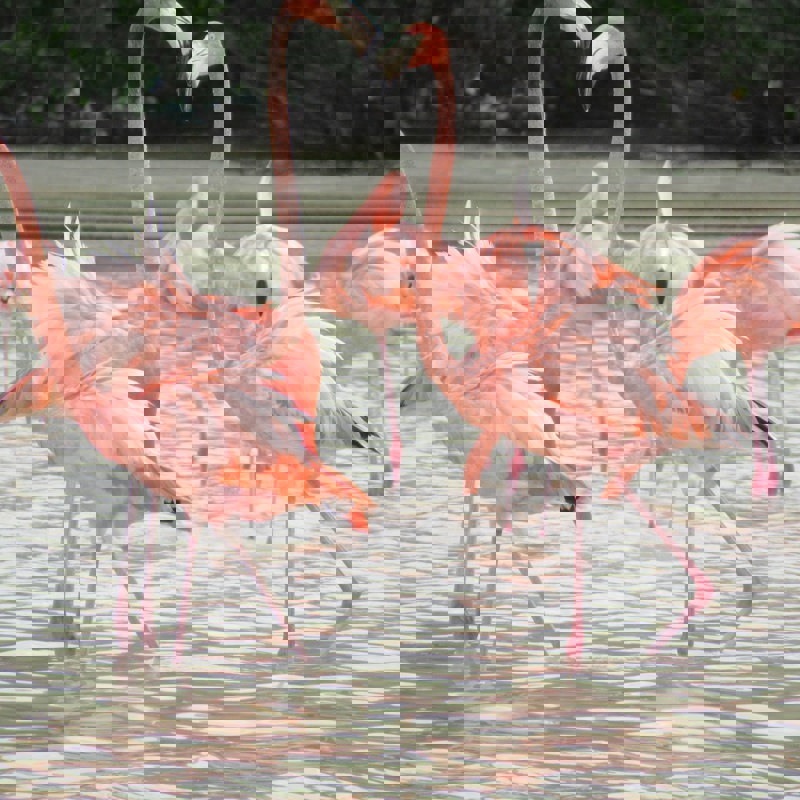 akshaye-sikand-C1IOUgj7F7s-unsplash