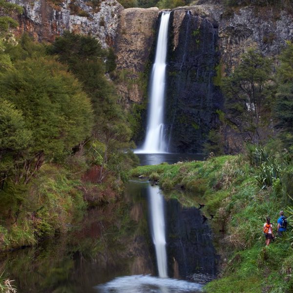 Vandfald, Waitakere Ranges, Auckland, New Zealand