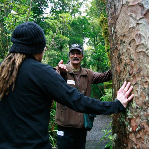 Bay of Islands, New Zealand