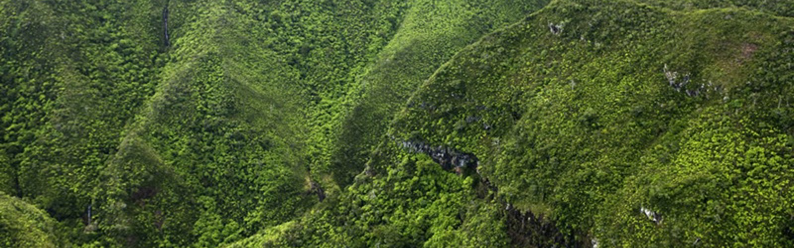 Grønne klipper, Mauritius