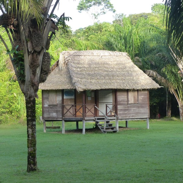 rewa lodge