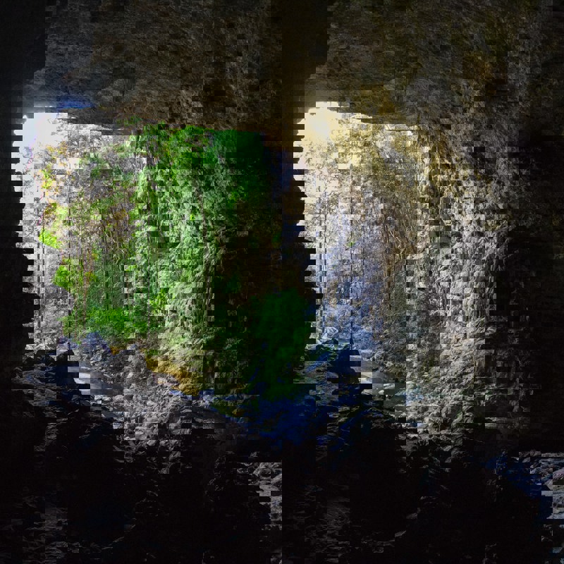 robin-canfield-vxtwtbdA6FE-unsplash