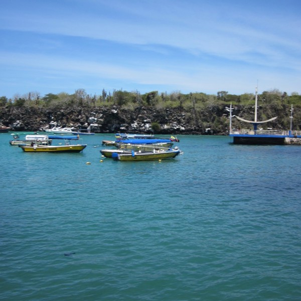 puerto ayora