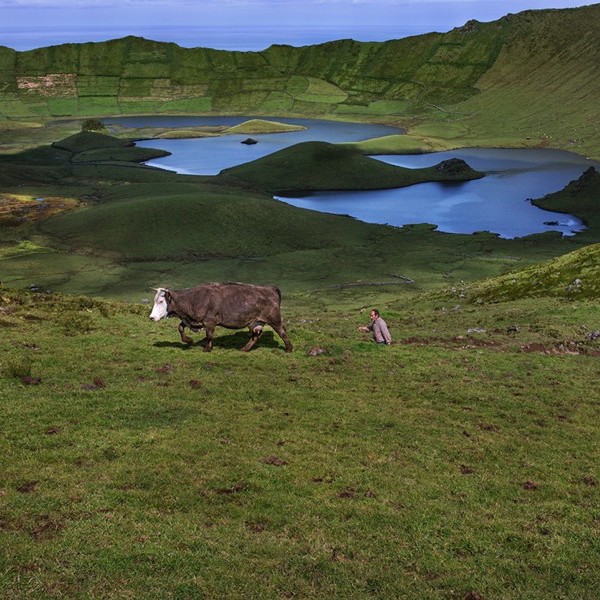 Kvæg, Caldeirão, Corvo