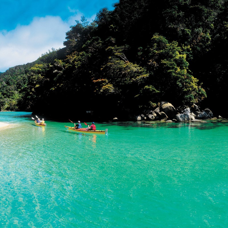 Abel Tasmans flotte farver, New Zealand