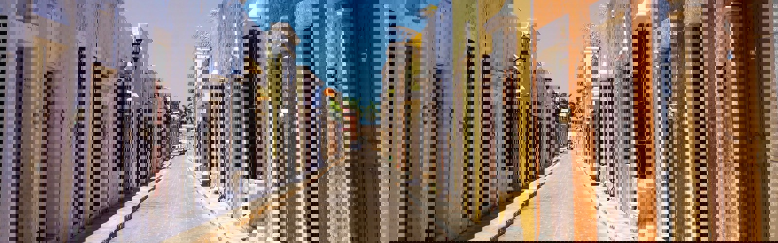 enrique-amaya-dYTO92Y3qAU-unsplash