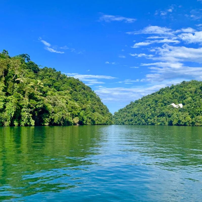 I:\AXUMIMAGES\Mellemamerika\guatemala\Rio dulce\Rio dulce