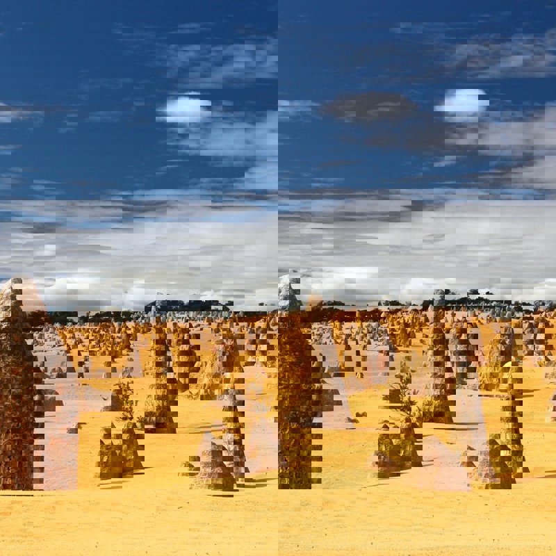 tobias-keller-gF0IZVVKrD0-unsplash