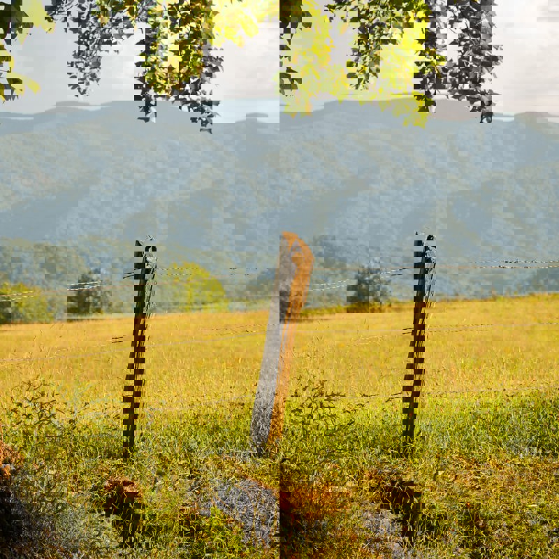 michael-chambers-Zo_--gIl0yI-unsplash