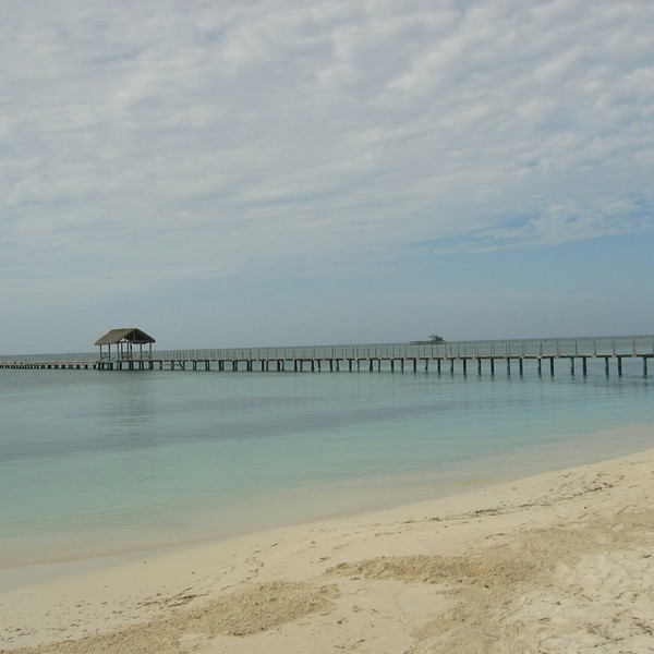 isla de la juventud udsigt