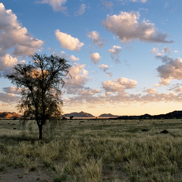 Smuk himmel over savnnen i Namibia